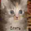gr_giraffe