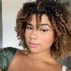 lanalebre