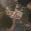 je_bolle_hond__