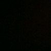 delfin_moradoo