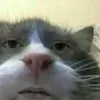 mynameborat694200