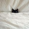 cutiehc_