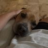 agusbusque