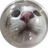 wrlaika