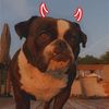emmapeppers11