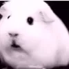 xxbjornxx