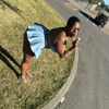 courtchopps