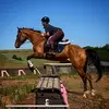 elliottlove98