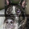 ziggyziggy222