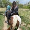 natrae317