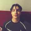 tigpinheiro