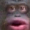 harambe.com