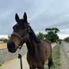 celia.ghz