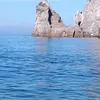 cuoremiotvta