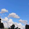 beluu1830p