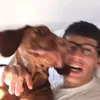 edolegalo