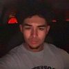 nzook_3