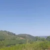 jony069fa