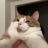 johnnypotsmoker7