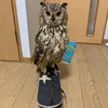 enbyshoes