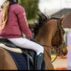brooke_showjumperreed1