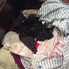 ellarose2323