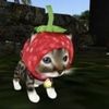 stroberryfarms