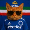 __mon_chat__