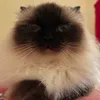 justemoi_8