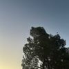 yazan_shrouqi