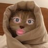 yonyon