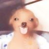 peepeepoocaca0