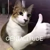 xenal_13