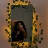 monicando_