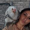 angelinaellsworth