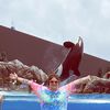 flukesandfins
