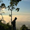 fikririzal