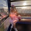__cinderelly__
