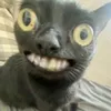 ratatata69_