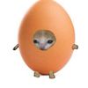 eggfacemia