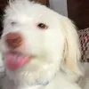 heeyitsluna
