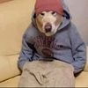 brdie_hotsoup
