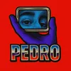 Pedro