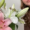 aliya.ckn