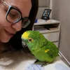marieputti