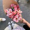 chinav_1