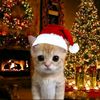 user4dz23yf4be