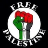 freepalestine12iraq