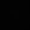 c.3004_