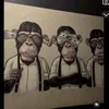 shiestynba